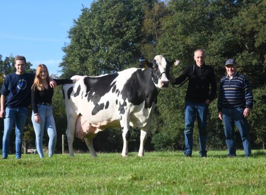 De vijftienjarige Langemeins Jantje 129 haalt in haar lopende lijst een gemiddelde dagproductie van 39,8 kilo melk