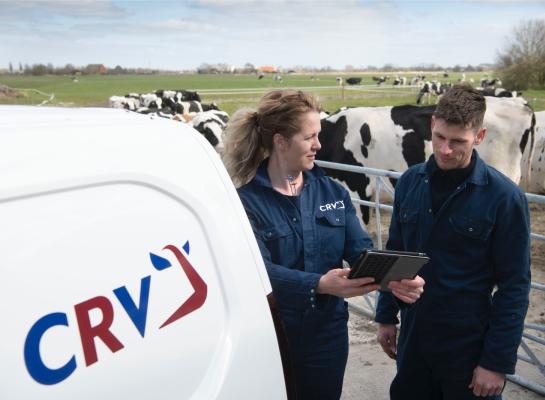 De raad van commissarissen houdt toezicht op het beleid van de directie en de algemene gang van zaken binnen het bedrijf CRV