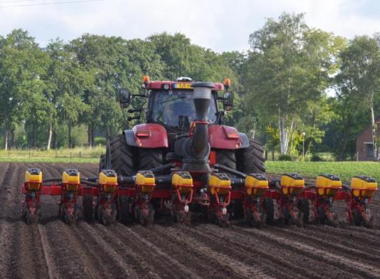 Aandachtspunten voor een geslaagde start van de teelt van maïs