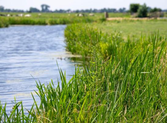 Het vrijgegeven concept van het Landbouwakkoord moet openheid van zaken geven