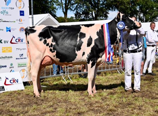 Tatoodochter Sanne 37 was in Lhee de sterkste zwartbonte