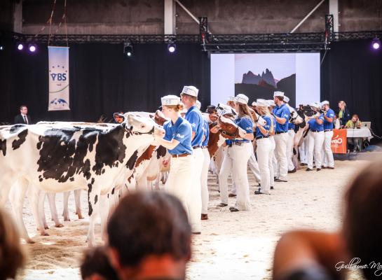 In totaal deden in Battice 152 jonge fokkers mee uit 16 verschillende landen