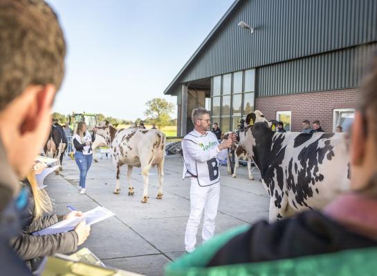 Het NK veebeoordelen vond plaats op het bedrijf van de familie Aalberts in Zetten (foto: Teus van Herk)