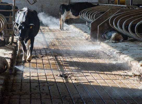 Op De Marke gaan verschillende sensoren de stalemissies meten