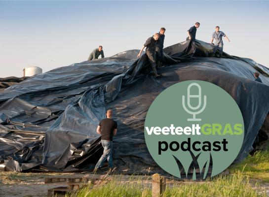 In grasseizoen 2023 is veel gras van goede kwaliteit gewonnen