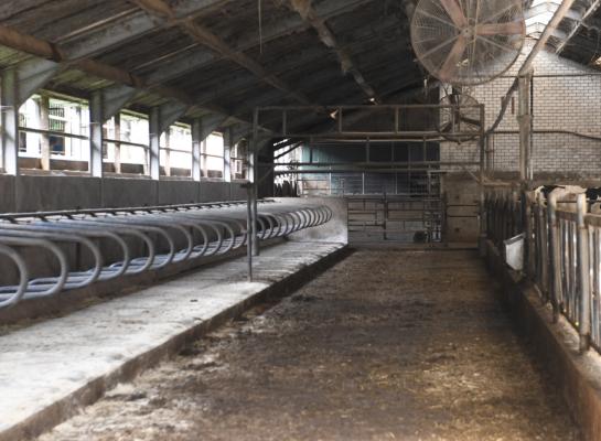 Melkveehouderijen in Overijssel en Noord-Brabant vroegen het vaakst de Lbv of Lbv-plus aan