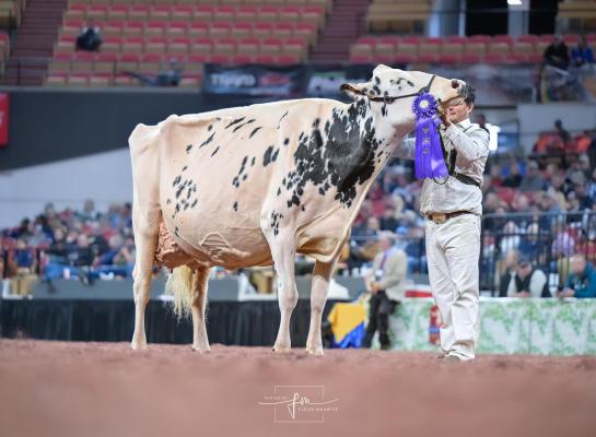 Erbacres Snapple Shakira won dit jaar het algemeen kampioenschap zwartbont in Madison