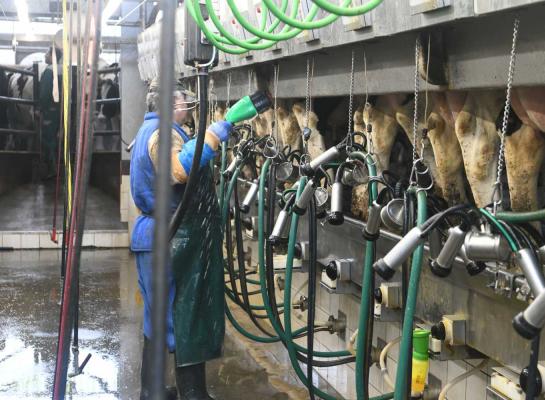 De Duitse mpr-koeien produceerden afgelopen mpr-jaar ruim 250 kg melk en 24 kg vet en eiwit meer dan vorig jaar