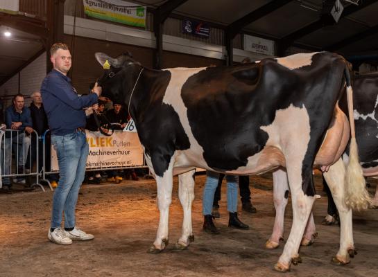 Lakeside Hardy Katrysha won in Ermelo haar derde vaarzentitel in twee maanden tijd