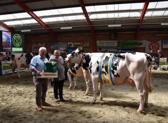 De zwartbonttitel in Sint-Niklaas ging naar Magic (v. 1stClass)