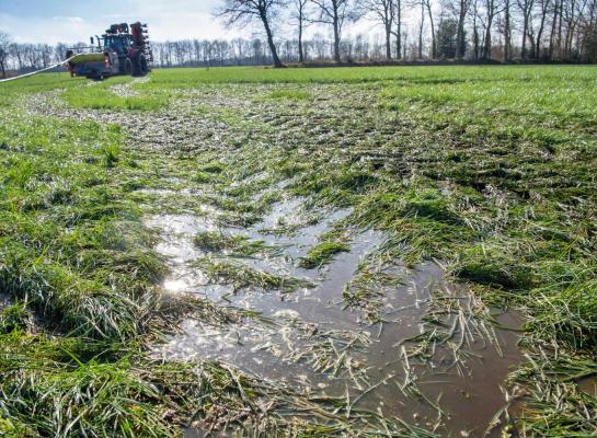 Door de extreme hoeveelheid neerslag kwam het uitrijden van mest op veel plekken in de knel dit voorjaar