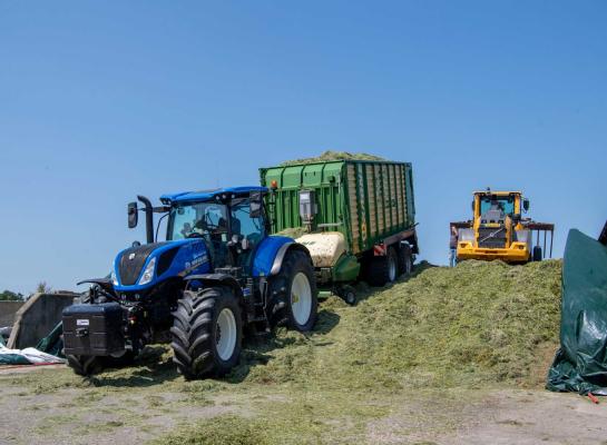 Het ruweiwitgehalte in het melkveerantsoen lijkt dit jaar uit te komen op 164 gram per kilo droge stof