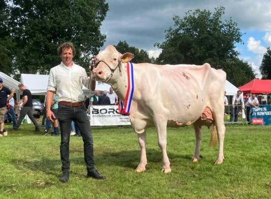 Vorig jaar won Wilskracht Warsi 879 het algemeen kampioenschap in Vriezenveen