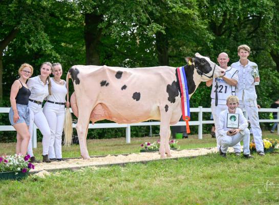 Lena 622 (v. Hotline) van de familie Aalberts wint de titel Barones van de Mariënwaerdt (foto: Fleur Maartje Bakker)