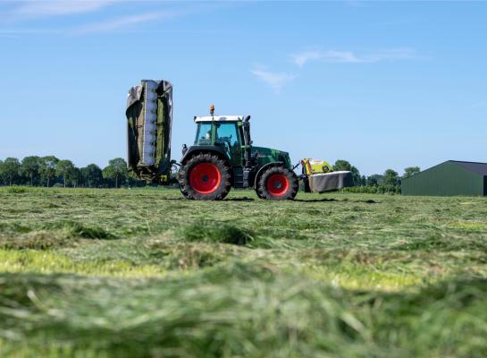 Aflopen dagen is op veel plaatsen weer gemaaid