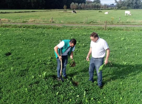 Rowan Timmer en Thieu Bongers nemen een kijkje onder de grasmat 