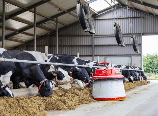 Sinds eind juni melkt de familie Groeneveld 130 hoogproductieve koeien