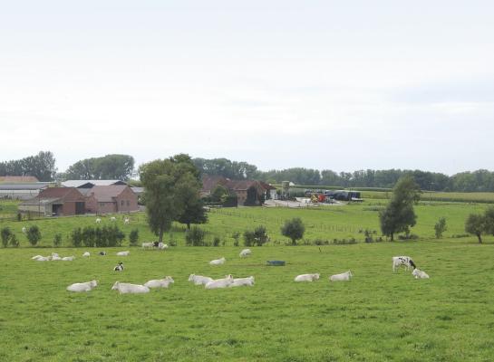 Meer dan de helft van de Vlaamse landbouwers wil het bedrijf de komende vijf jaar afbouwen, stopzetten of overlaten