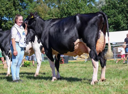 WR Monami (v. Diamondback) van Robert Overvelde won in Twello het algemeen kampioenschap zwartbont (foto: Floor Schut)