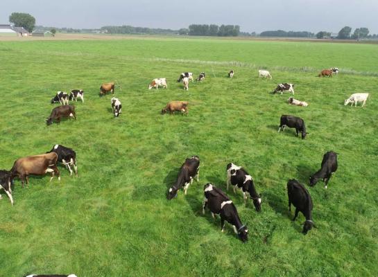 Het merendeel van het biologische areaal bestaat uit grasland