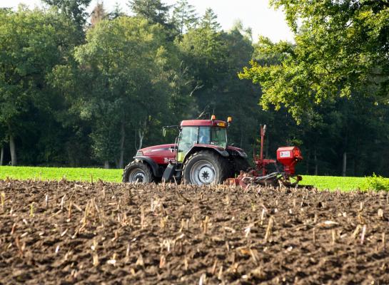 Maistelers krijgen tot en met 21 oktober de tijd om een vanggewas te zaaien