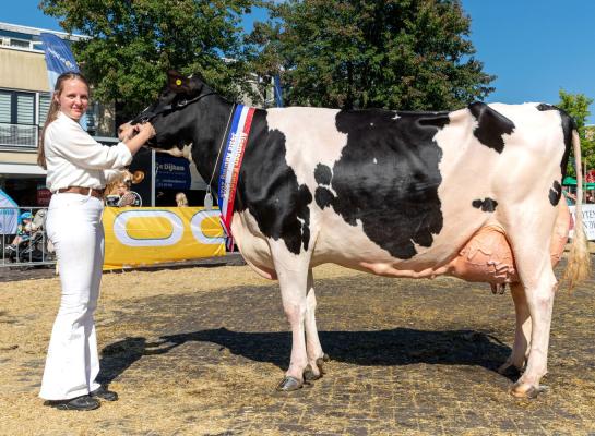 Vorig jaar won VVH Ida Mondi (v. Mogul) de reservetitel in de middenklasse, dit jaar veroverde ze het algemeen kampioenschap (foto: Cilia Hoekman)