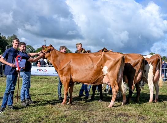 De familie Groot Wassink stelde de beste bedrijfsgroep bij roodbont samen (foto: Henk Lomulder)