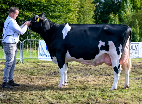 Oosterbrook Esperanto Hanilla was de sterkste bij de senioren (foto: Henk Lomulder)