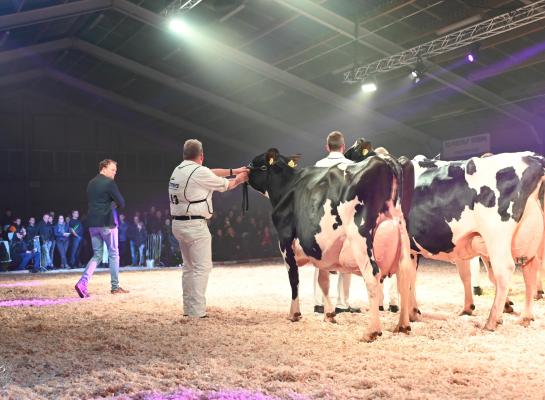 De initiatiefnemers van de Nacht van de Achterhoek deden het een idee voor de organisatie op bij de Twentse After Summer Show