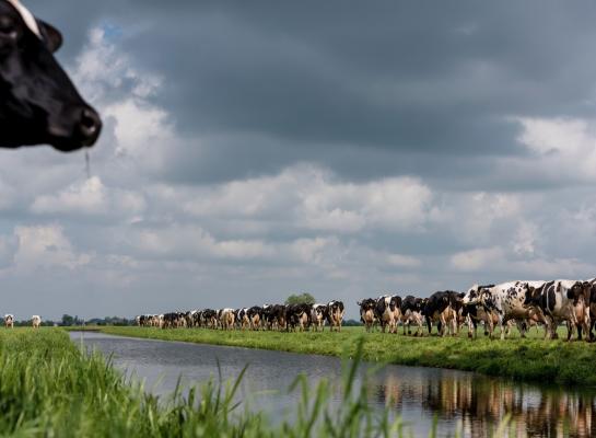 Grasseizoen 2024 was erg uitdagend