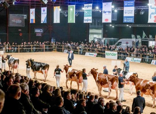Vorig jaar kwam op de HHH-show onder meer een dochtergroep van Delta Jacuzzi in de ring