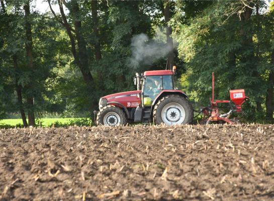 Landbouwers in Vlaanderen kunnen zelf het beste moment bepalen voor het inzaaien van een vanggewas