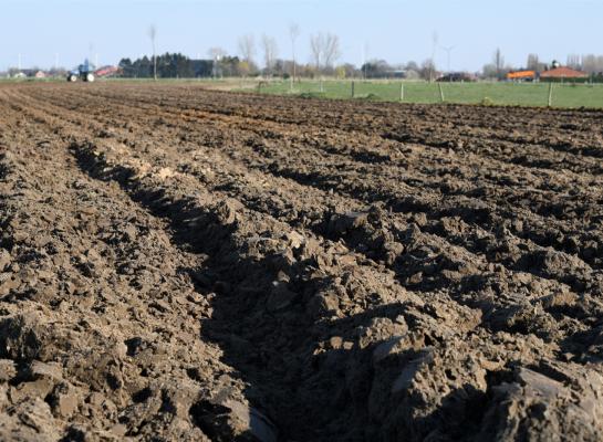 De prijzen voor akkerbouwgrond liggen met gemiddeld bijna 94.000 euro per hectare het hoogst. Grasland volgt met gemiddeld 75.000 euro per hectare. 