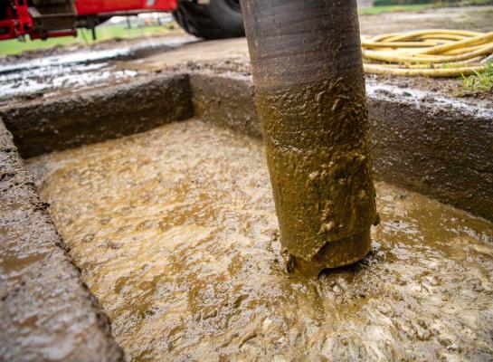 Om het volledige mestoverschot af te voeren is een gemiddeld bedrijf 2,82 euro per 100 kg melk kwijt