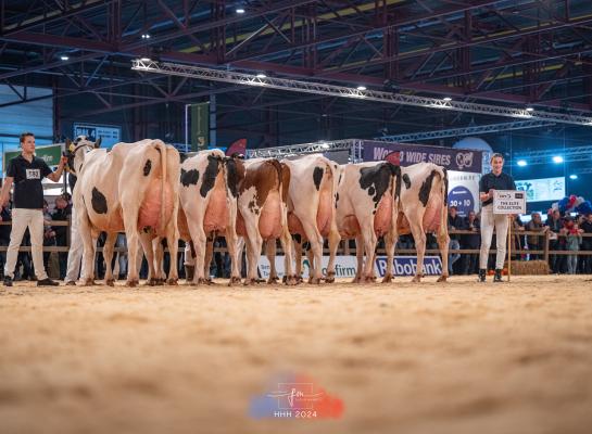 CRV liet in Leeuwarden ook een groep stiermoeders zien (foto: Fleur Maartje Bakker)