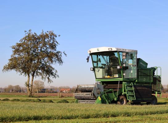 Op de proefvelden van Barenbrug Holland worden de verschillen in gras- en klaversoorten onderzocht