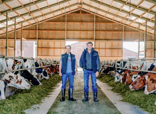 De broers Johan (links op de foto) en Willem Loonen verzorgen met hulp van hun vader Wim en twee vaste medewerkers 500 koeien op 250 hectare grond. De 280 stuks jongvee staan op drie locaties