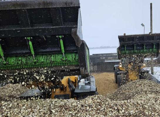 KWS_OnTop Silage Feedbeet_3_2.jpg