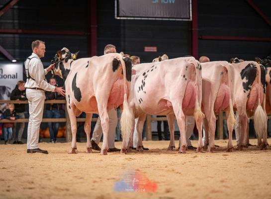 De vaarzenkampioene Bons - Holsteins Koba 291 (v. Aligator) aan kop van haar rubriek