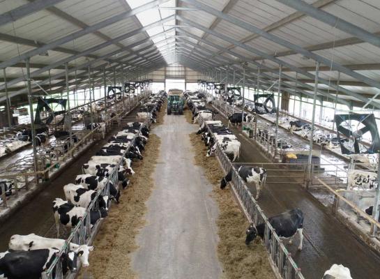 De toegenomen kosten voor onder meer rente en gebouwen dragen bij aan een minder optimistische stemming onder melkveehouders