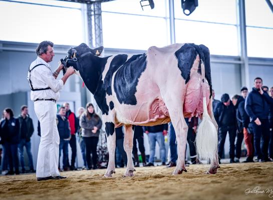 De titel op de open Franse show ging naar Gaec Robinard Pastèque (foto: Guillaume Moy)