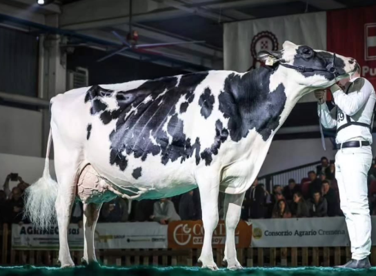 Sabbiona Tiky schreef al verschillende titels op haar naam (foto: Guillaume Moy)