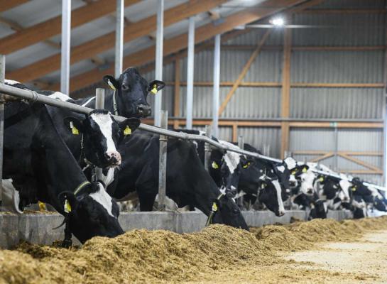 Op bijna 2900 bedrijven in Duitsland worden meer dan 200 koeien gemolken