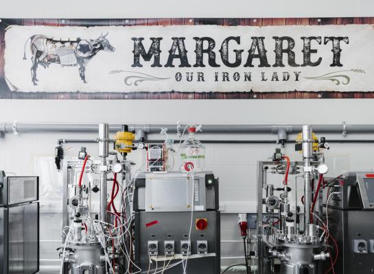 Het bedrijf Those Vegan Cowboys produceert in een fabriek door middel van precisiefermentatie het kaaseiwit caseïne (foto: Those Vegan Cowboys).
