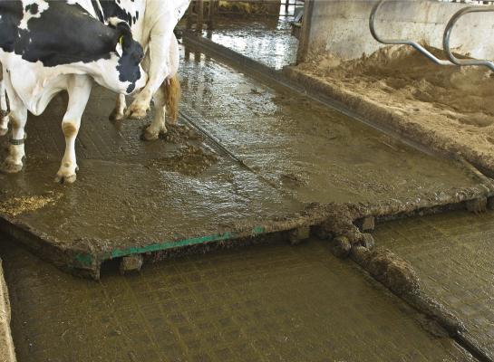 Vooral onder dichte vloeren hoopt de concentratie aan mestgassen op