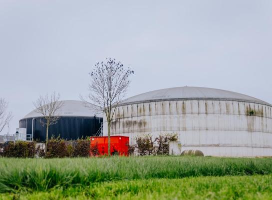 Op jaarbasis is minstens 10.000 kuub dagverse mest nodig om een installatie voor monomestvergisting rendabel te laten draaien
