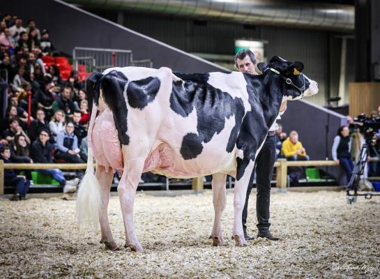 Pasteque vervolgt zegetocht in Parijs (foto: Guillaume Moy)