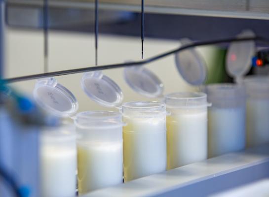 Het ureumgehalte in de tankmelk kwam in 2024 met 19,8 mg per 100 gram melk voor het eerst onder de 20 uit (foto: Qlip)