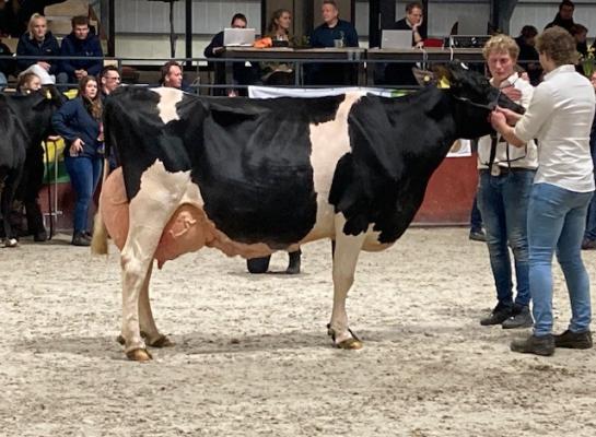 Algemee kampioene VVH Helga 9 produceerde al ruim 94.000 kg melk