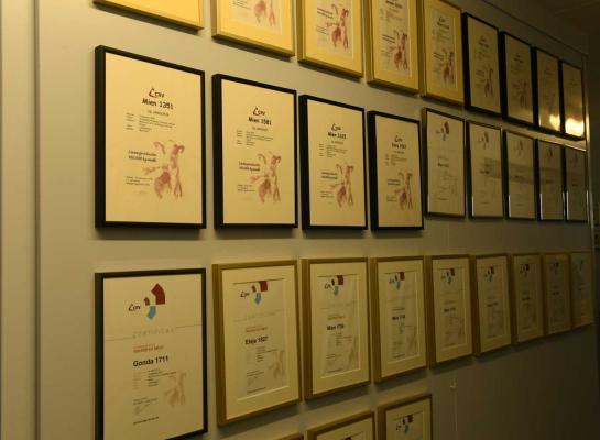 De muur bij de familie Meijer uit Blijham hangt vol met predicaten voor honderdtonners